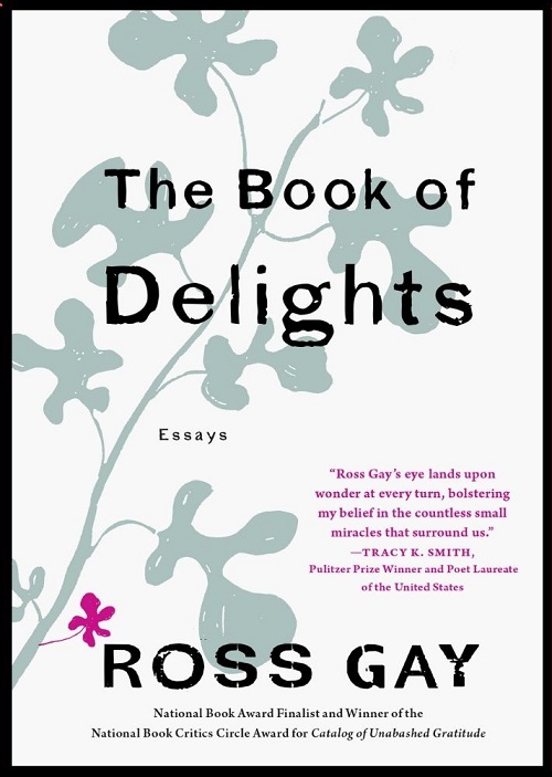 the book of delights essays