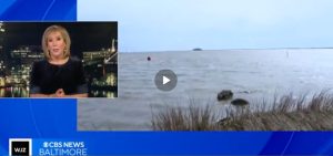 A screenshot of a news story from CBS Baltimore. We see a white, blonde anchorwoman. In another view, we see the Chesapeake Bay.